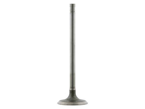 Intake Valve