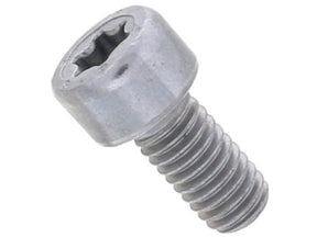 Torx Head Bolt