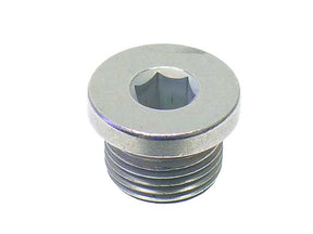 Engine Oil Drain Plug