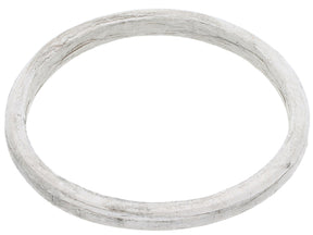 Exhaust Manifold Gasket