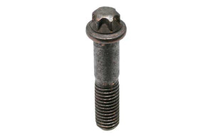 Torx Bolt