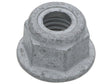 Hex Nut