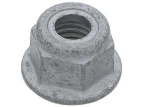 Hex Nut