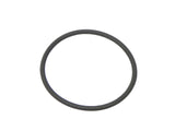 Fuel Pump O-Ring