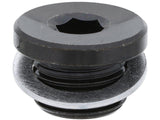 Engine Oil Drain Plug