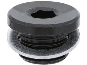 Engine Oil Drain Plug