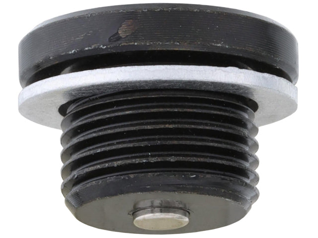 Engine Oil Drain Plug