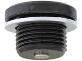 Engine Oil Drain Plug