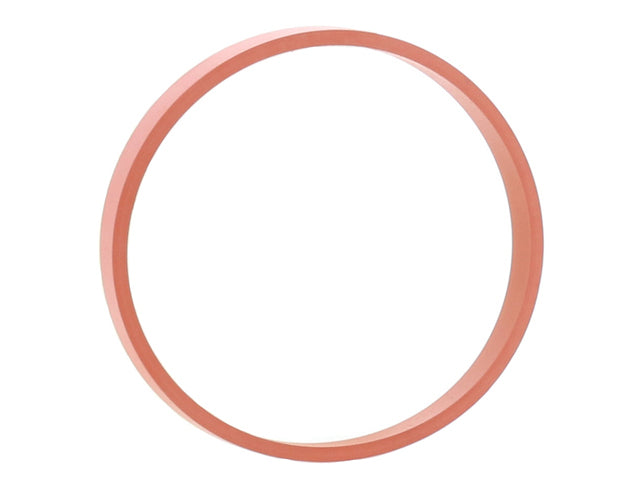 Intake Manifold Seal