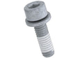 Fillister Head Screw