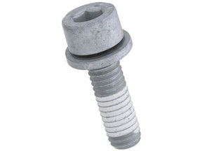 Fillister Head Screw