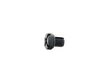 Bleeder Screw
