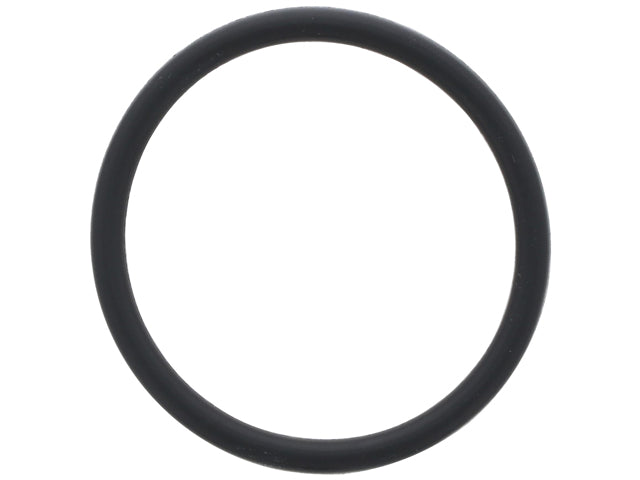 Coolant Pipe O-Ring