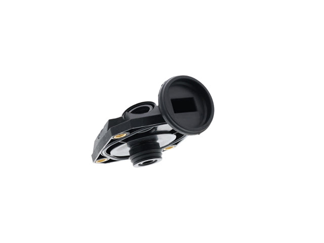 Crankcase Vent Valve
