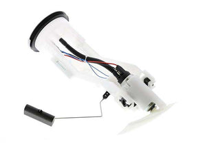 Fuel Pump Assembly