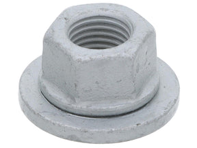 Combination Nut