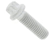 Torx Head Bolt