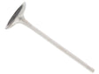 Intake Valve