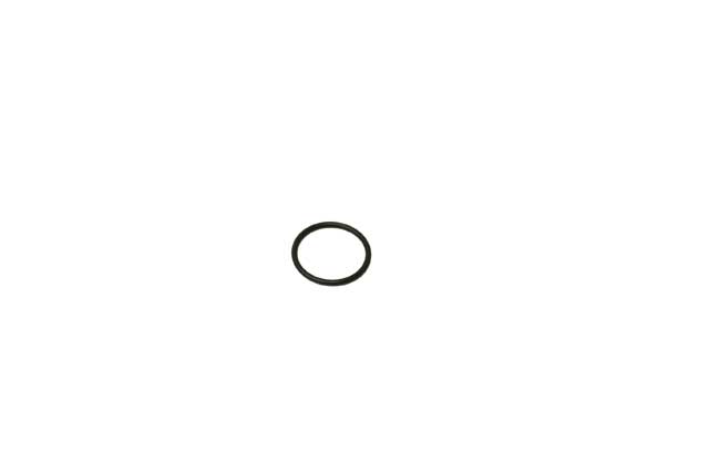 Fuel Injector O-Ring