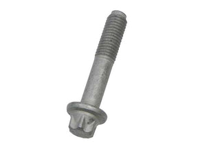 Valve Cover Bolt