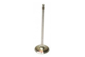 Intake Valve