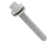 Torx Bolt