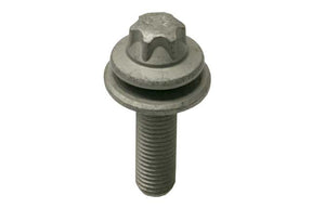 Caliper Bracket Bolt