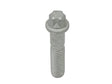 Torx Bolt