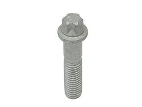 Torx Bolt