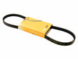 Belt 4K X 863
