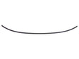 Windshield Moulding