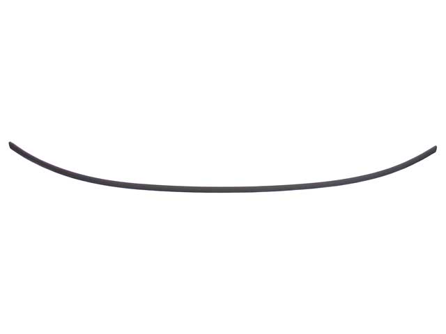 Windshield Moulding