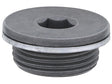 Vanos Unit Plug