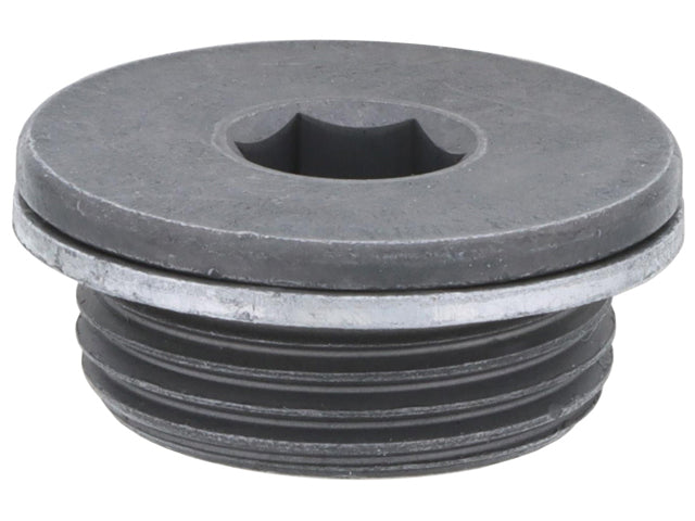 Vanos Unit Plug