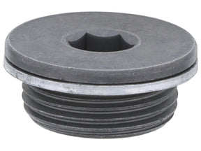Vanos Unit Plug