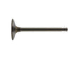 Intake Valve