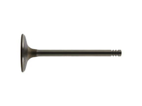 Intake Valve