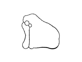 Gasket