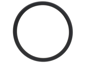 Thermostat O-Ring