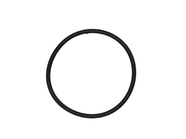 Thermostat Seal