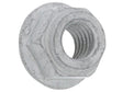 Hex Nut