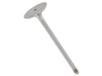 Intake Valve