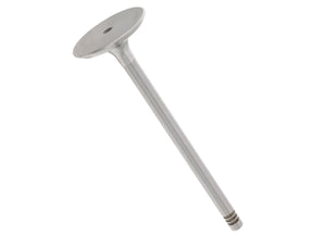 Intake Valve