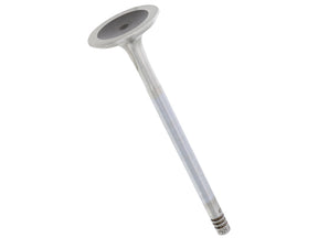 Exhaust Valve