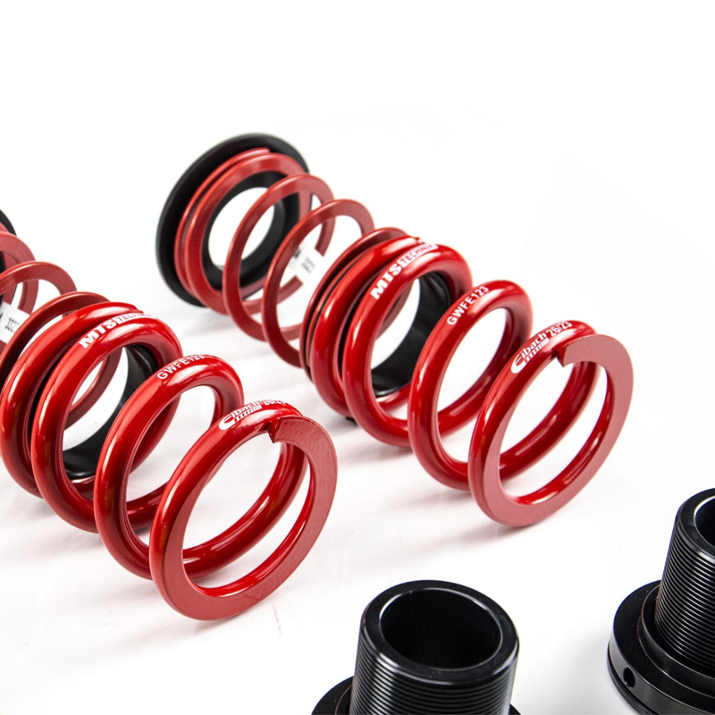 MTS Technik E36 Inox Coilovers - Stance