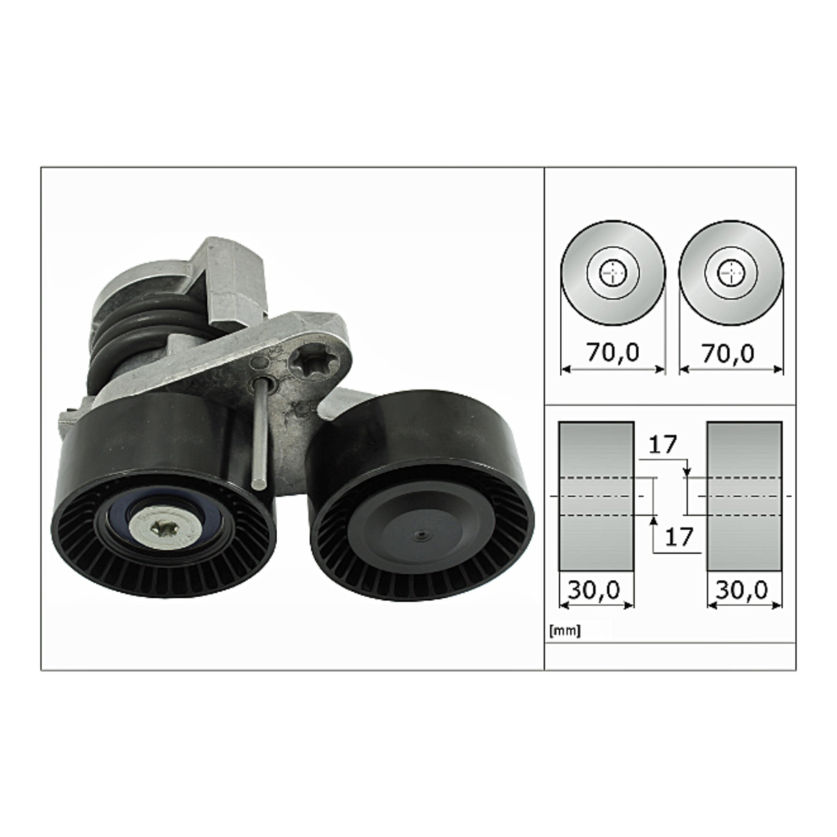 BMW Accessory Drive Belt Tensioner Assembly - 11287582946