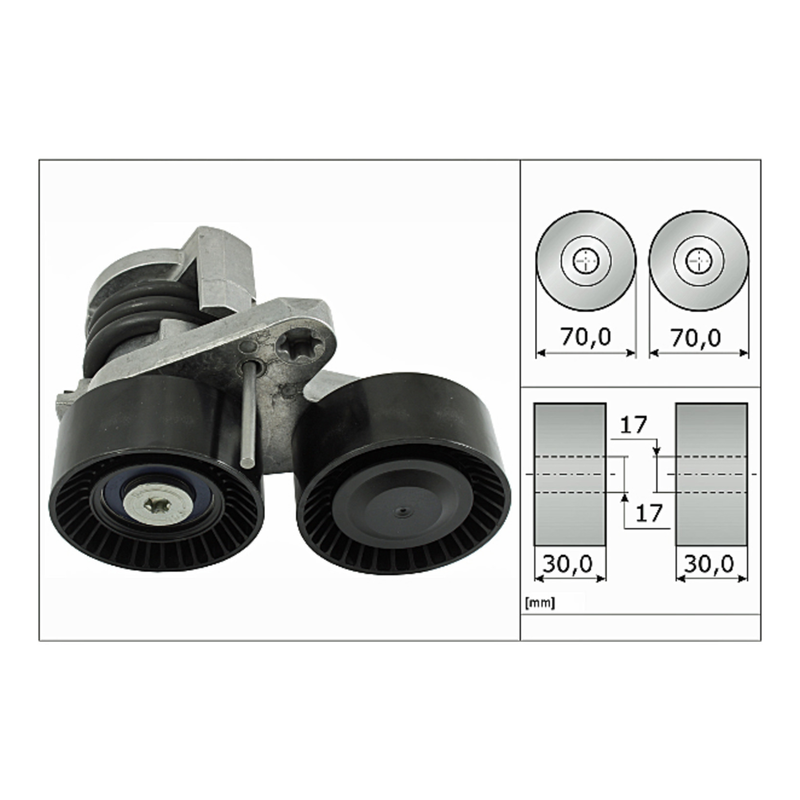 BMW Accessory Drive Belt Tensioner Assembly - 11287582946