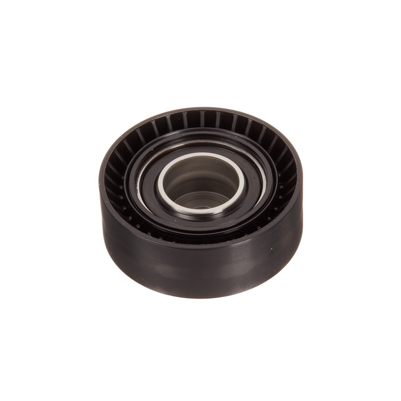 BMW Adjuster Pulley - 11281748131