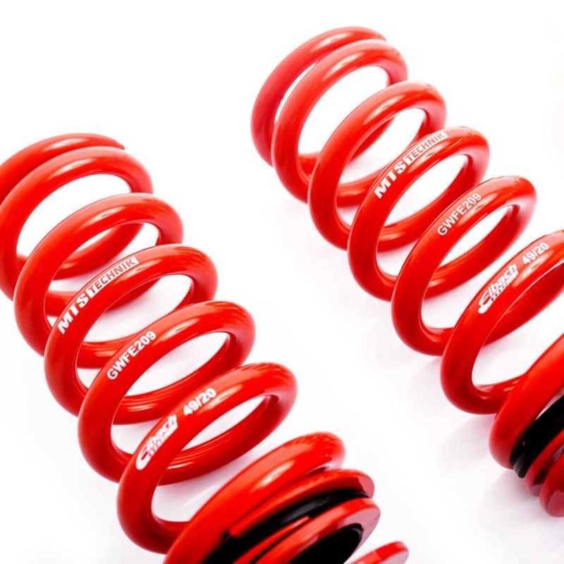 MTS Technik E8X Coilovers - Stance