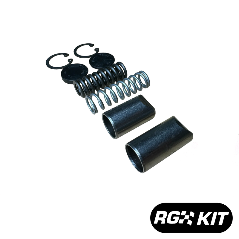 BMW S6S420G Transmission Detent Repair Kit (E46 M3, E39 M5)